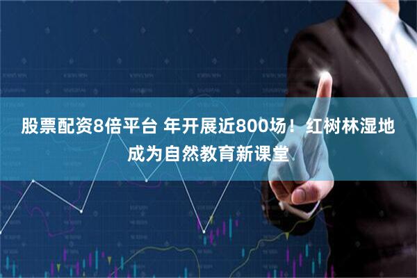 股票配资8倍平台 年开展近800场！红树林湿地成为自然教育新课堂