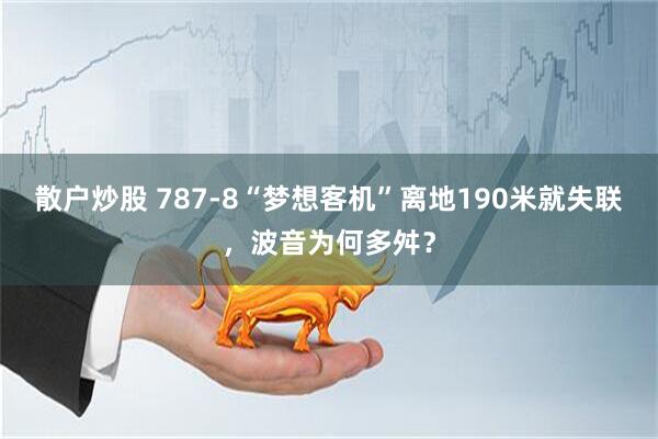 散户炒股 787-8“梦想客机”离地190米就失联，波音为何多舛？