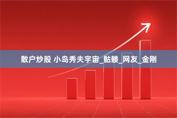 散户炒股 小岛秀夫宇宙_骷髅_网友_金刚