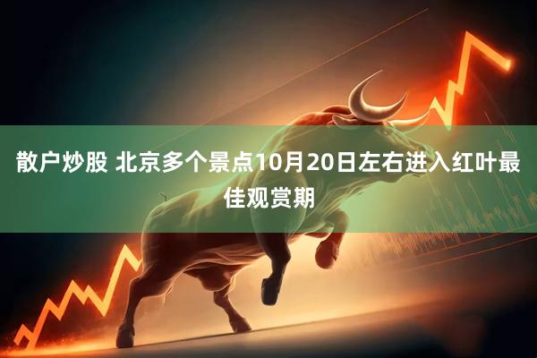 散户炒股 北京多个景点10月20日左右进入红叶最佳观赏期